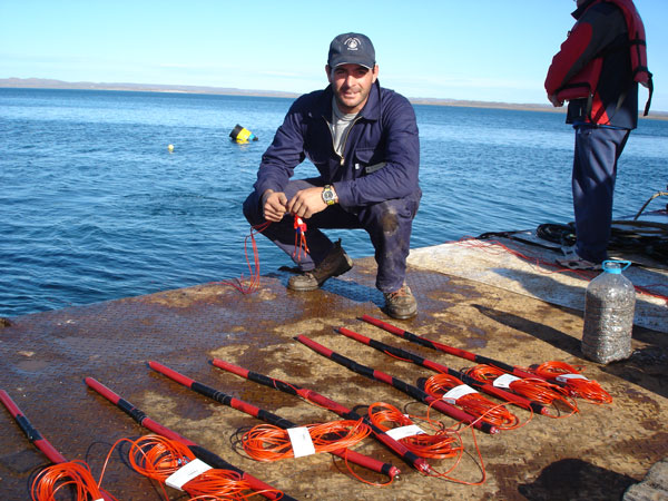 voladura Camarones